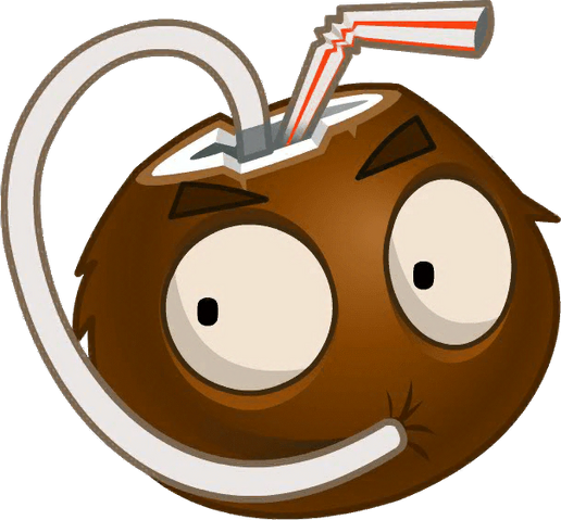 File:Coconut close up.png