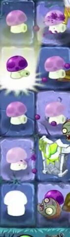 File:Puff-shroomPF.jpg