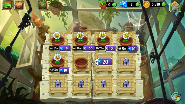 File:Zen Garden marigold Glitch.png