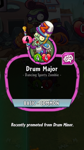 File:Drum Major Description.png