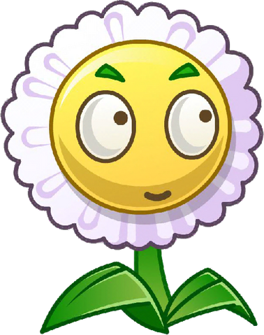 File:Bellis close up.png
