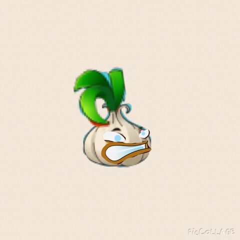 File:Garlic .jpeg