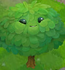 Oak.png