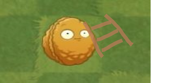 File:PoorlyDrawnWooden Ladder.png