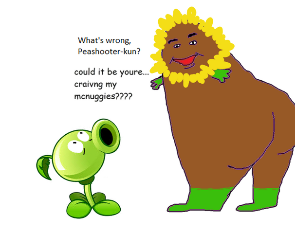 File:Sunfllowermgnuggies.png