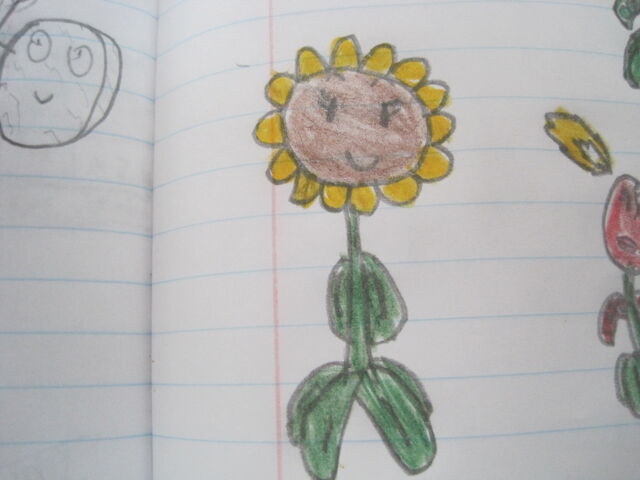 File:SUNFLOWER PVZ LEO SERIES1.jpeg