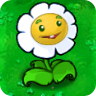 File:Giant Marigold1.png