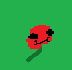 Exp poppy