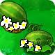 SPRING MELONNNNNNNN