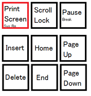 Print Screen Key
