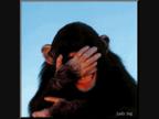 Facepalm.jpg