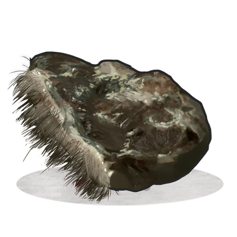 File:Spoiled Bear Meat icon.png