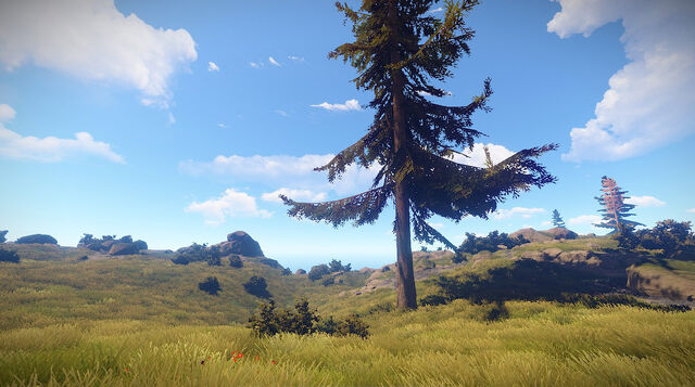File:Grassy biome.jpg