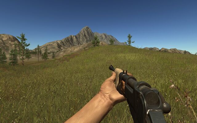 File:Bolt Action Rifle.jpg
