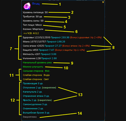 Pet stats2.png