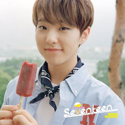 File:Kwonsoonyoung.jpg