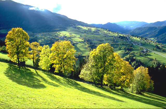 Datei:Sommerreich.jpg