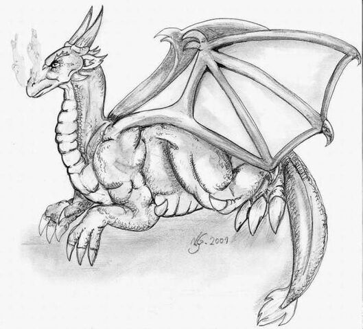 Datei:Drache.jpg