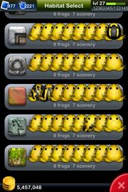 Golden Aurum