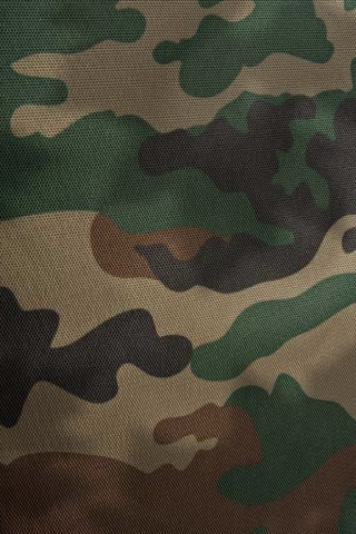 File:Camouflage Habitat.png
