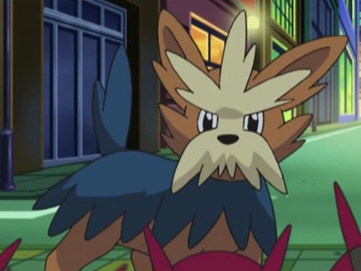Plik:Terribark na spadeze.png