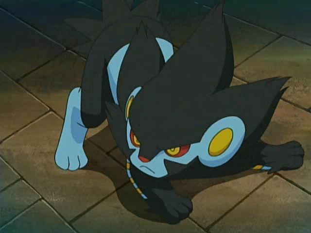 Plik:Luxia kochana.png