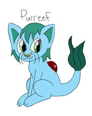 7 - Purreef