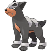 Pokemon Houndour