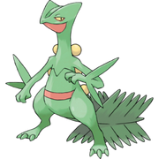 Pokemon Sceptile