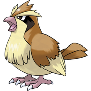 Pokemon Pidgey