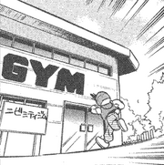 Pewter Gym Ch5 67