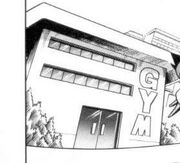 CeladonGym Ch19 076