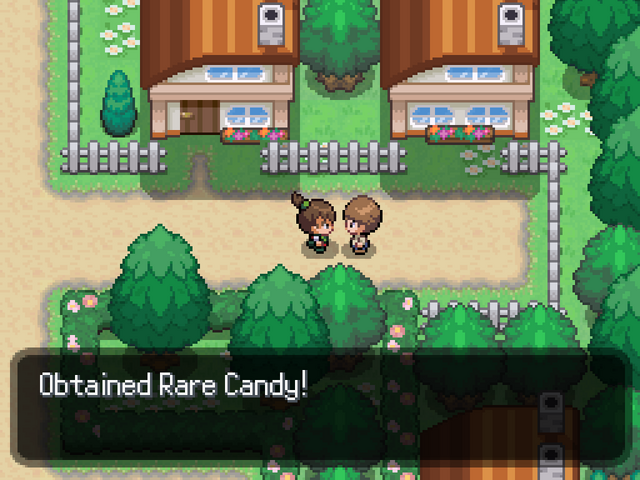 File:Rarecandyget.png