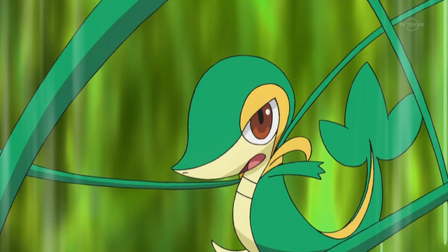 File:Ash Snivy Vine Whip.png