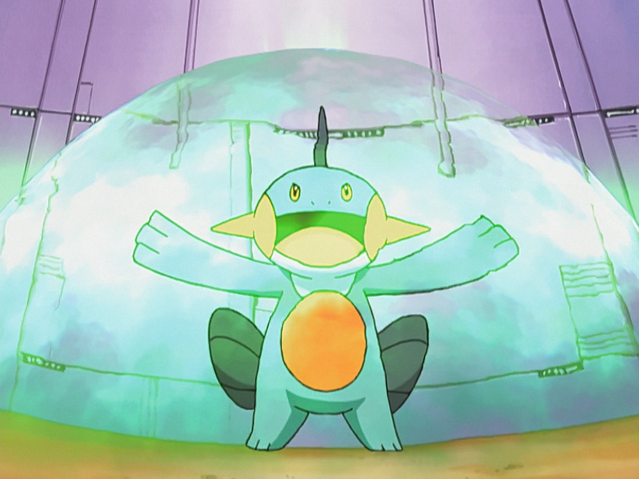 File:Brock Marshtomp Protect.png