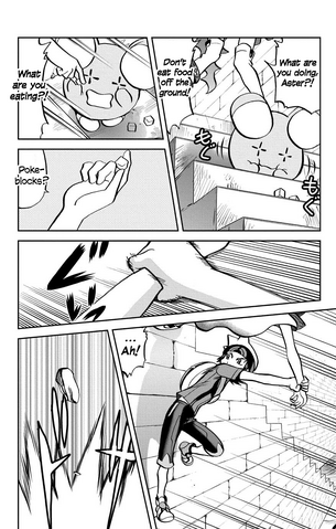 File:ORAS003 9.png