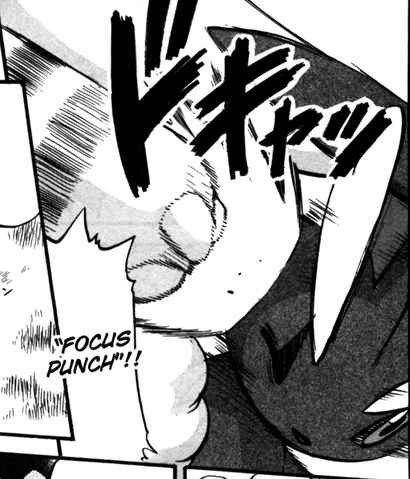 File:Volkner Elekid Focus Punch.png