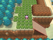 Route 13 BW
