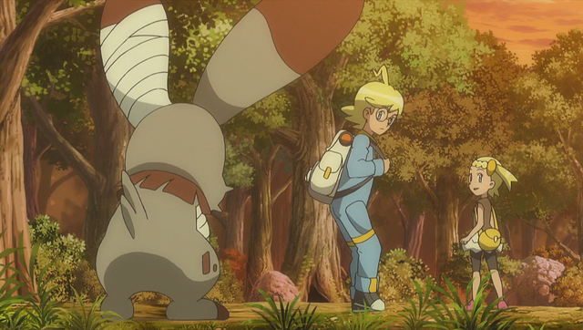 File:XY091 16.png