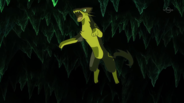 File:Bryony Liepard.png