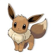 EEVEE (1)