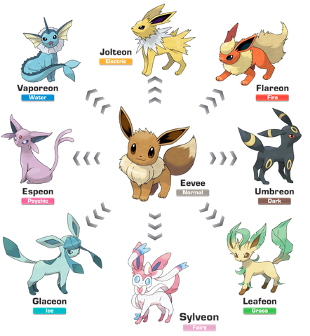 File:Eeveelutions.png