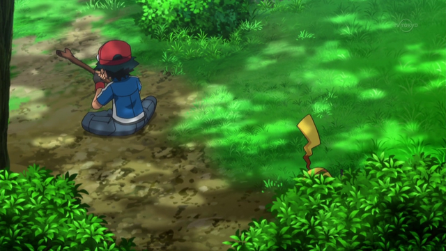 File:XY088 6.png