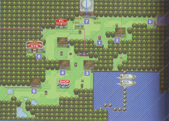 File:Pastoria city.gif