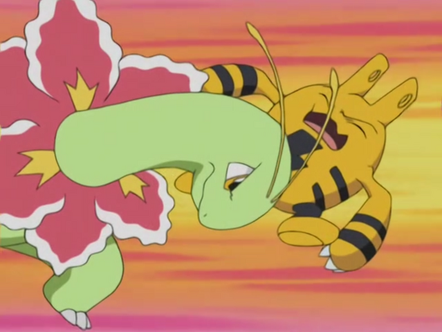 File:Casey Meganium Tackle.png