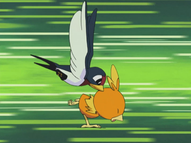 File:Ash Taillow Peck.png