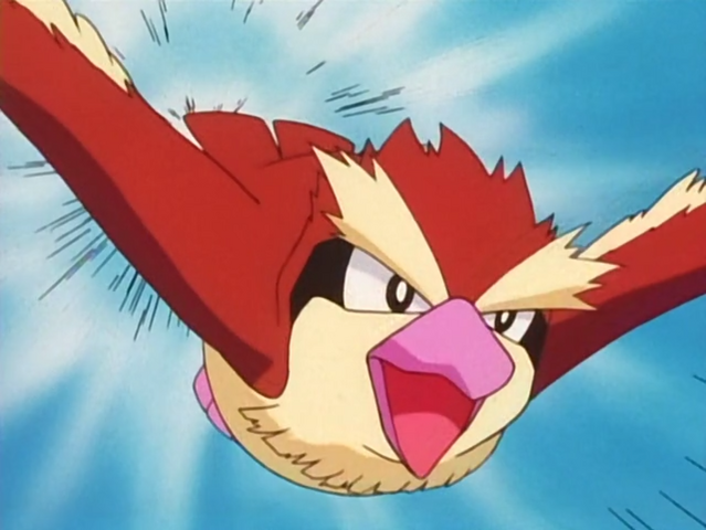 File:Casey Pidgey Quick Attack.png