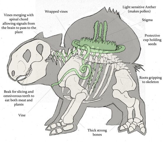 File:How-Bulbasaur-works-pokemon-anatomy-venusaur-pikachu-ivysaur1.jpg