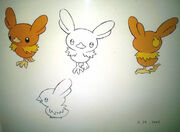 Torchic Beta.jpg