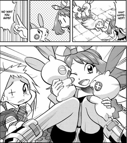 File:ORAS006.jpg